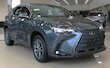  LEXUS NX 350