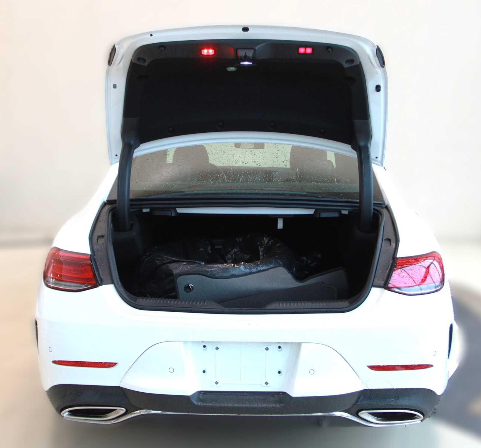 2019 Mercedes Benz CLS 450 4MATIC photo 4