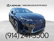 LEXUS UX 300h