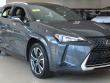  LEXUS UX 250h