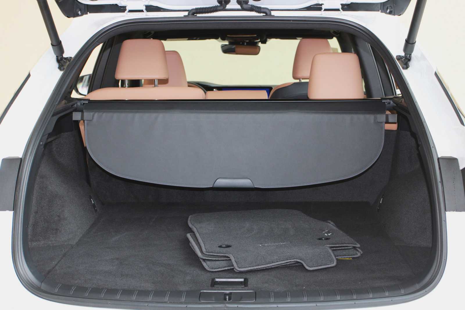 2025 Lexus RX 350 - Photo 14