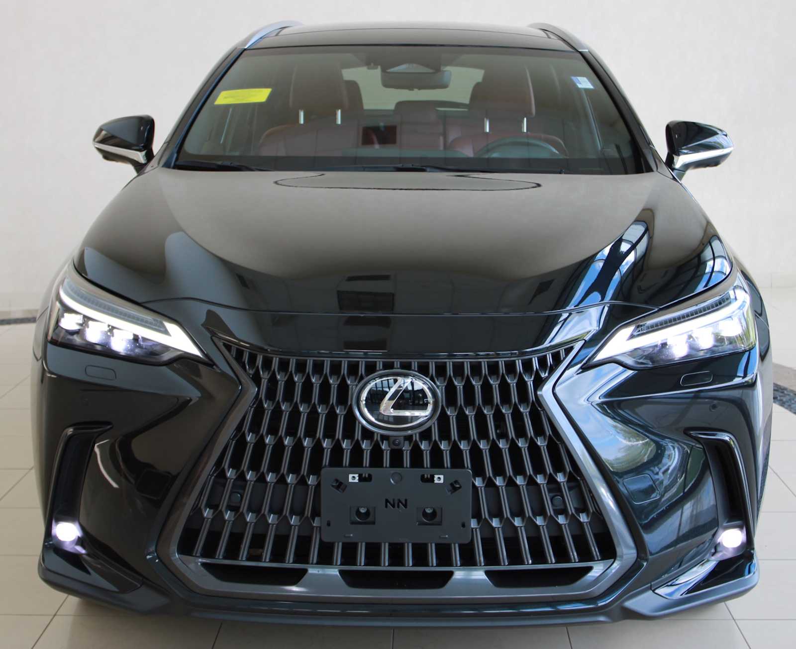 2025 Lexus NX 450h+ Luxury photo 2