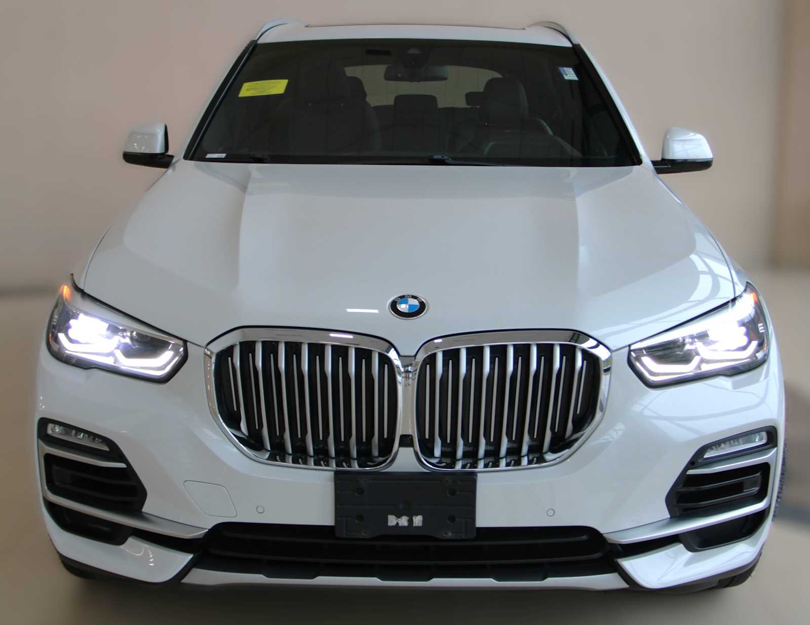 2019 Bmw X5 xDrive40i photo 2