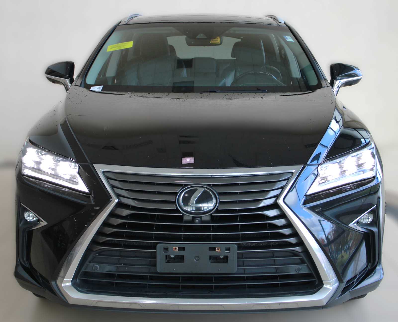 2019 Lexus RX 350 Luxury photo 2