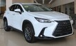  LEXUS NX 350