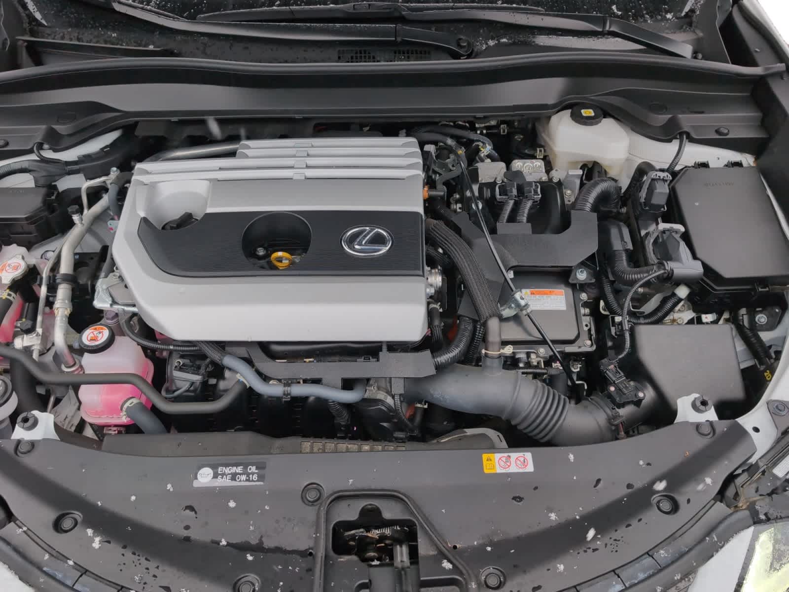 used 2023 Lexus UX 250h car, priced at $33,298