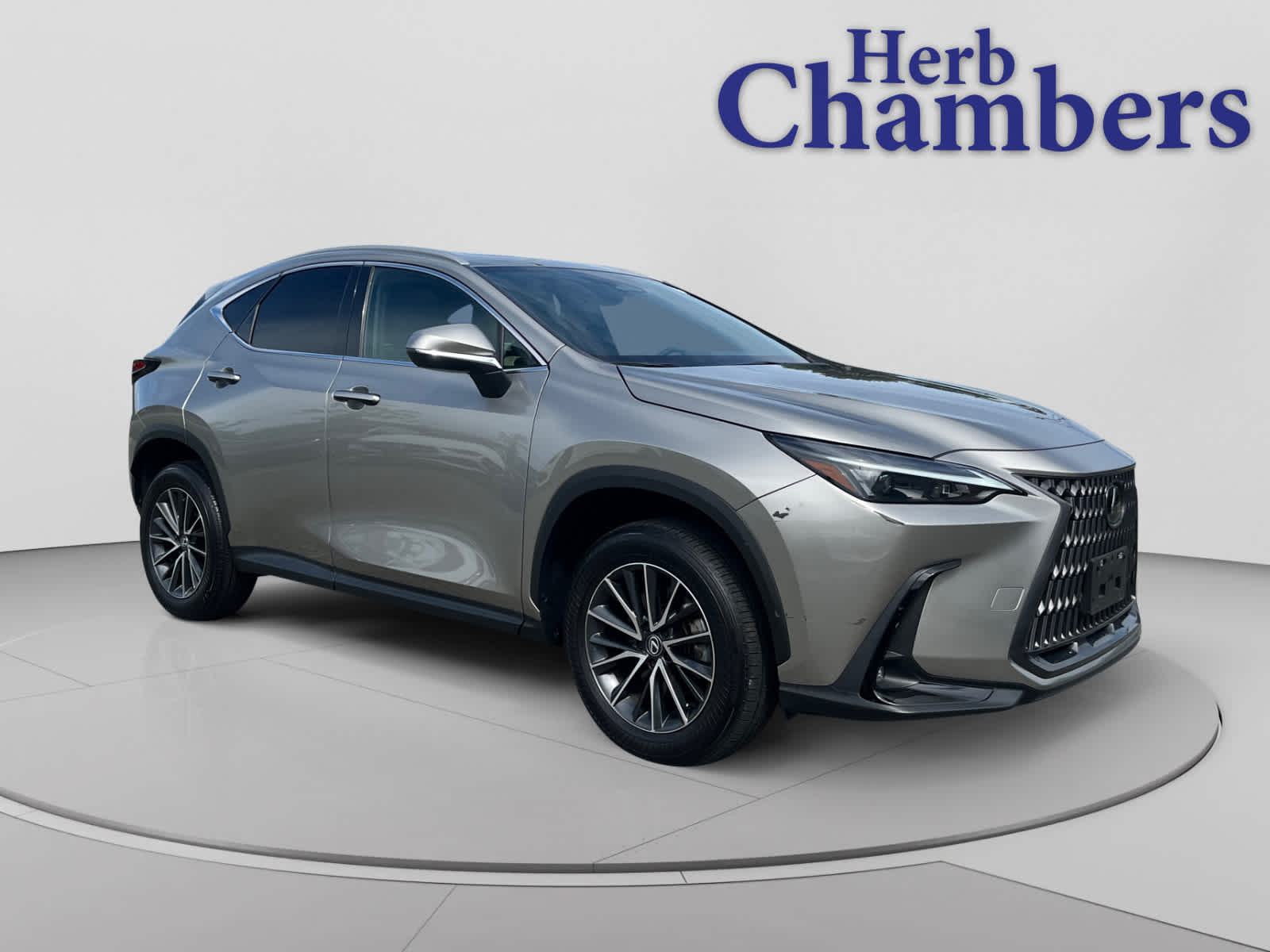 2024 Lexus NX 350 350 AWD's photo
