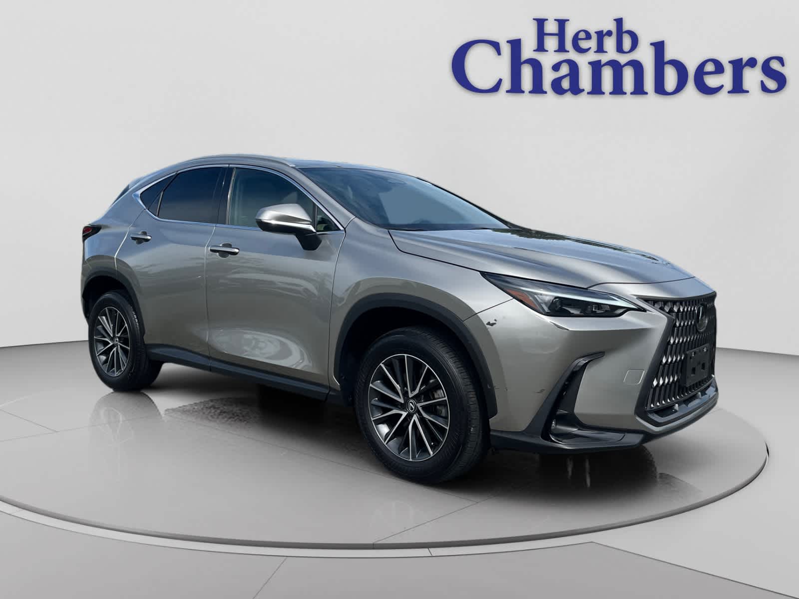 2024 Lexus NX 350 350 AWD's photo