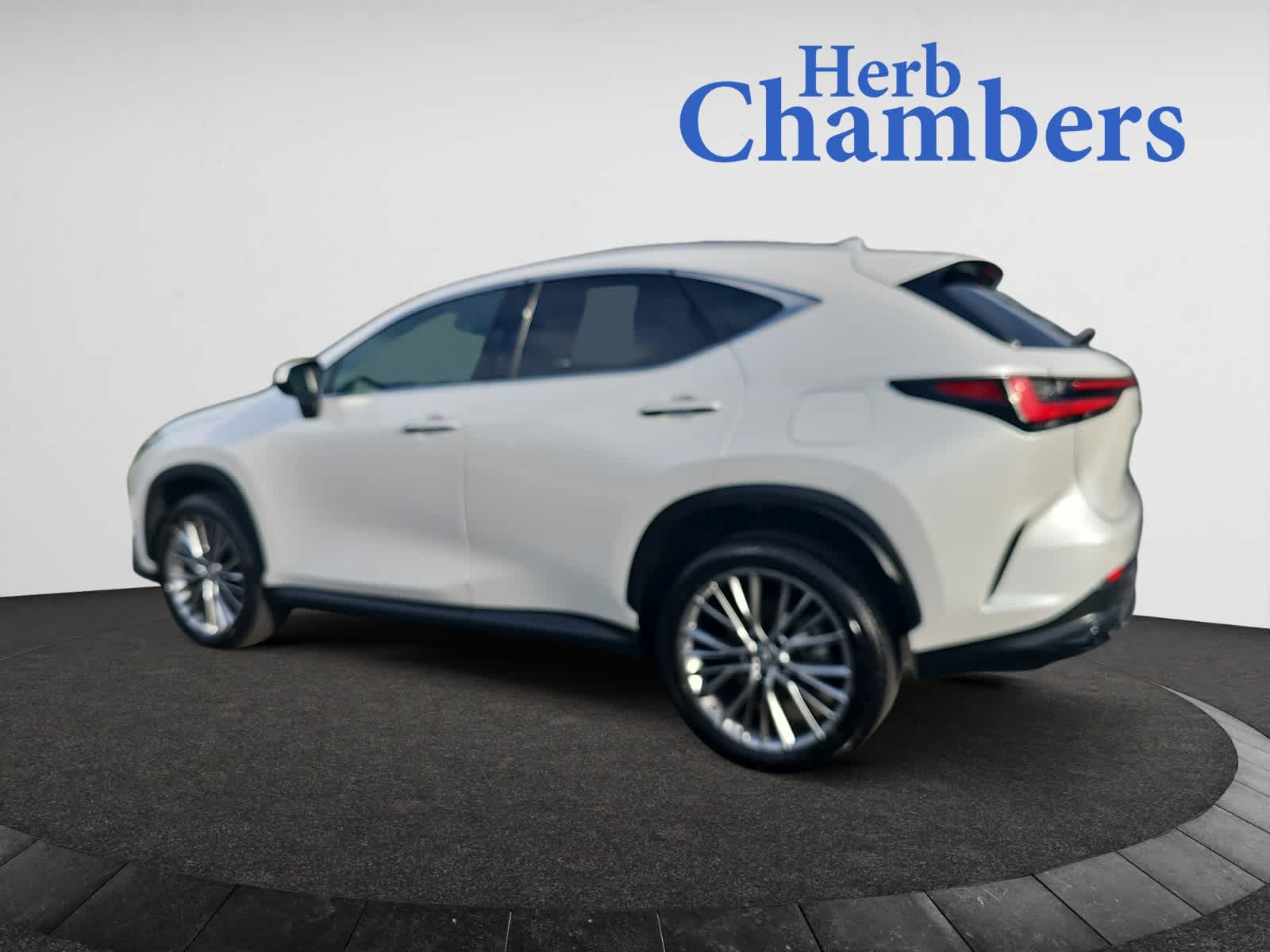 2023 Lexus NX 350h Premium photo 3