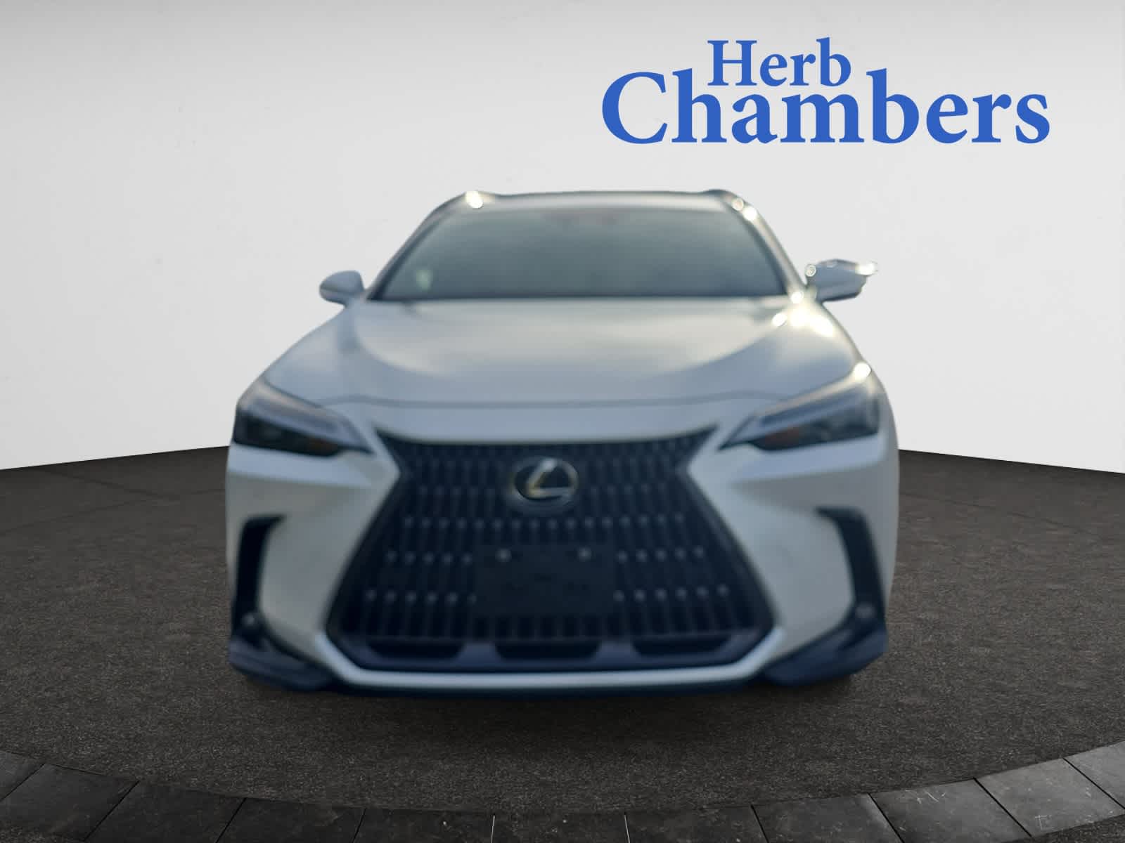 2023 Lexus NX 350h Premium photo 2