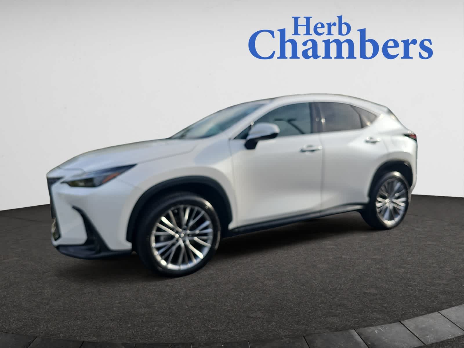 2023 Lexus NX 350h Premium photo 4