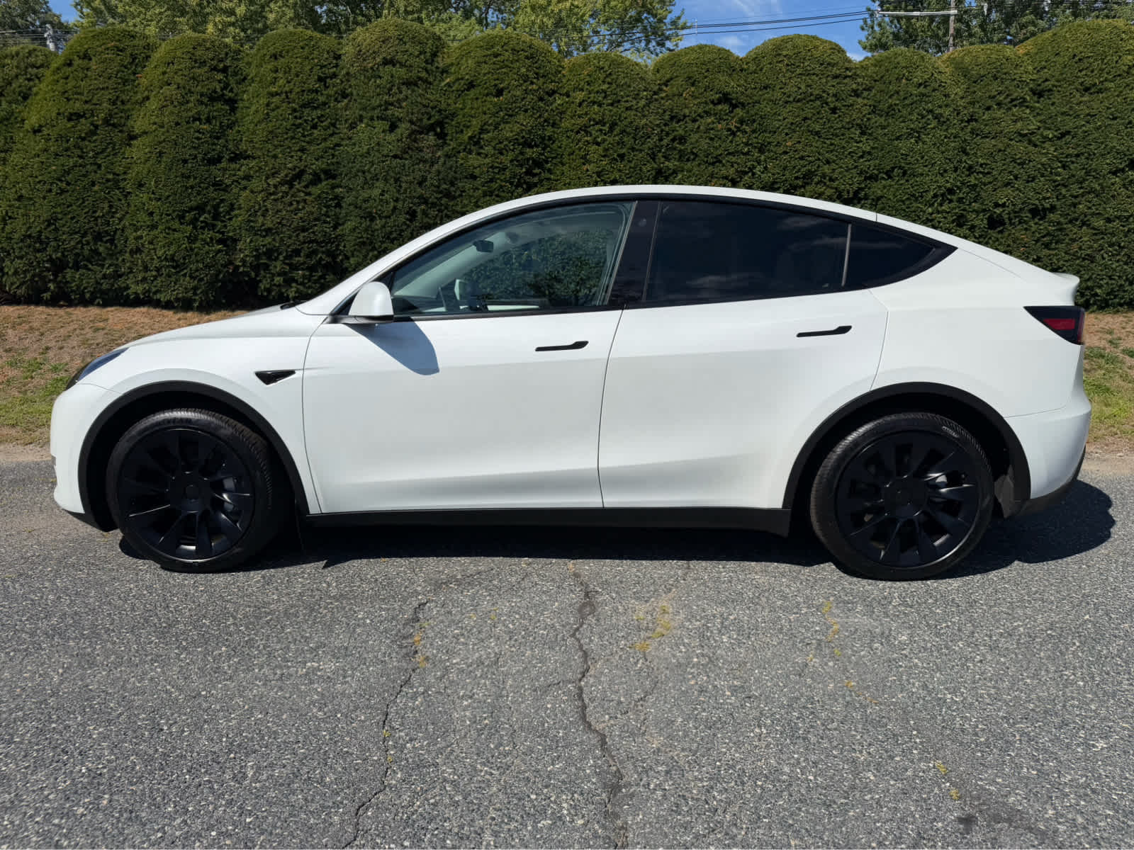 Used 2023 Tesla Model Y Long Range with VIN 7SAYGDEE2PF747396 for sale in Lynnfield, MA