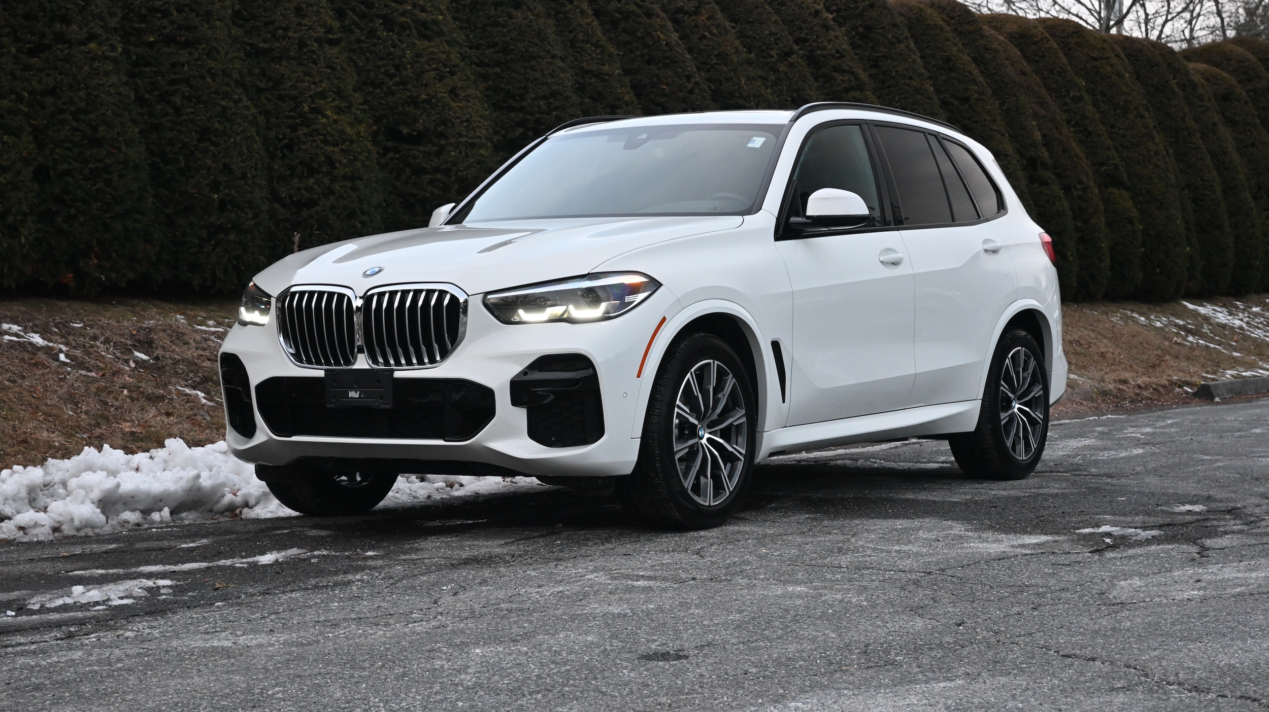 2023 BMW X5 40i's photo
