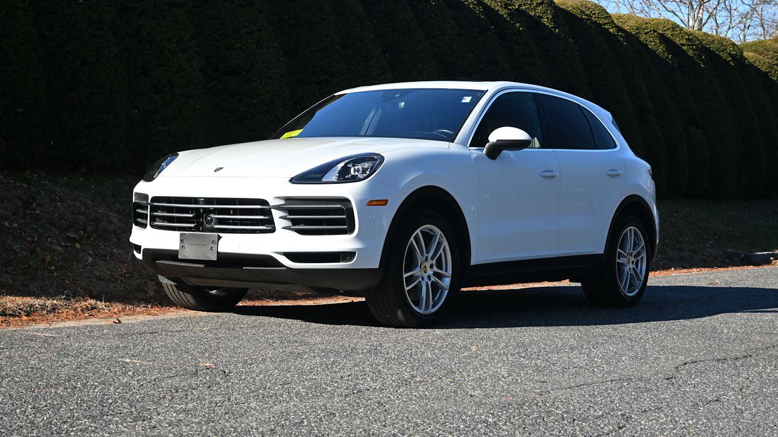 2022 Porsche Cayenne Base's photo