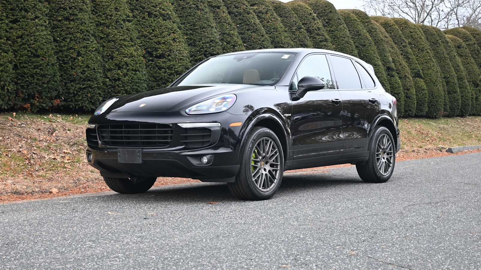 2018 Porsche Cayenne S E-Hybrid's photo