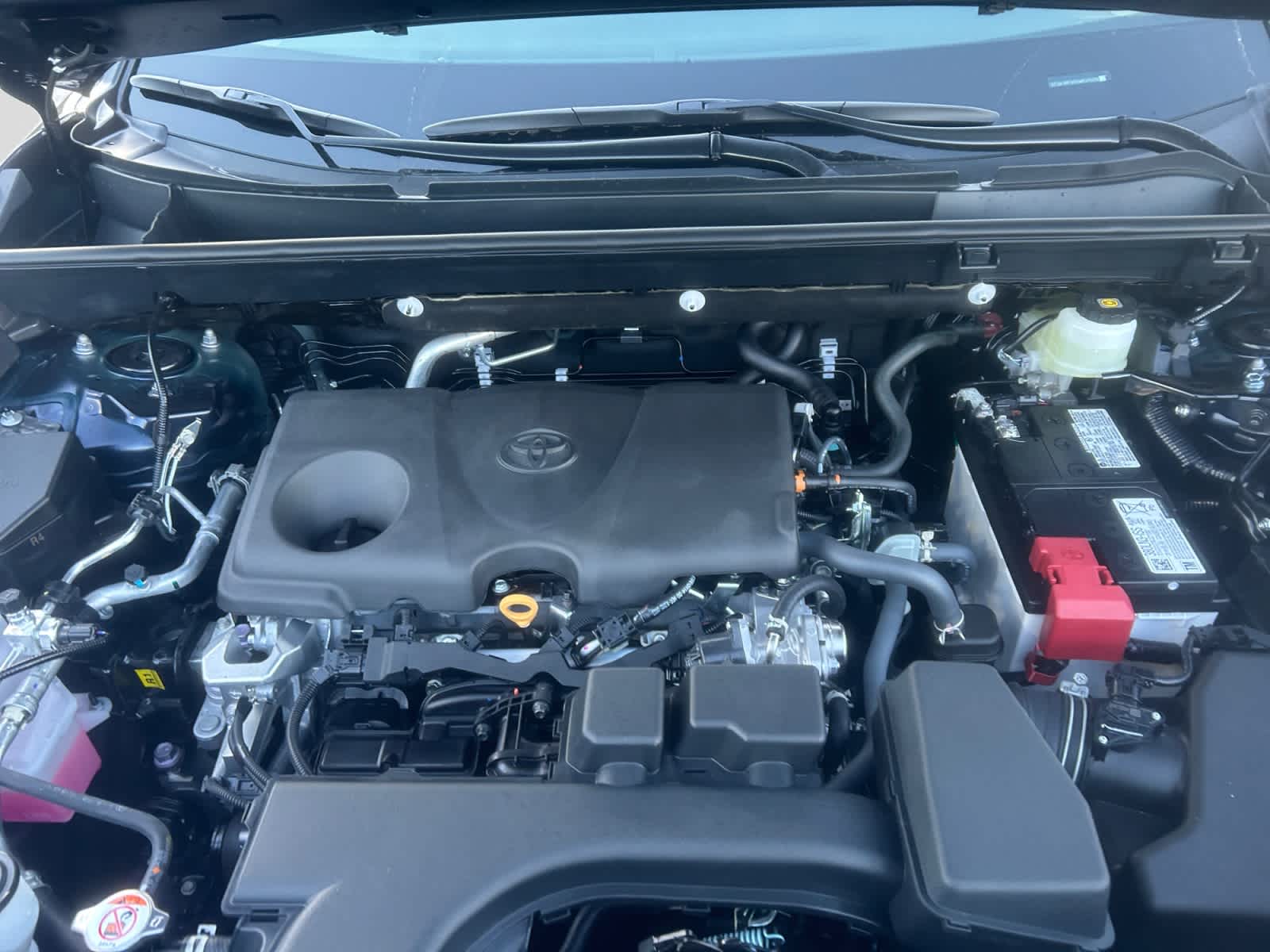 new 2025 Toyota RAV4 car, priced at $39,334