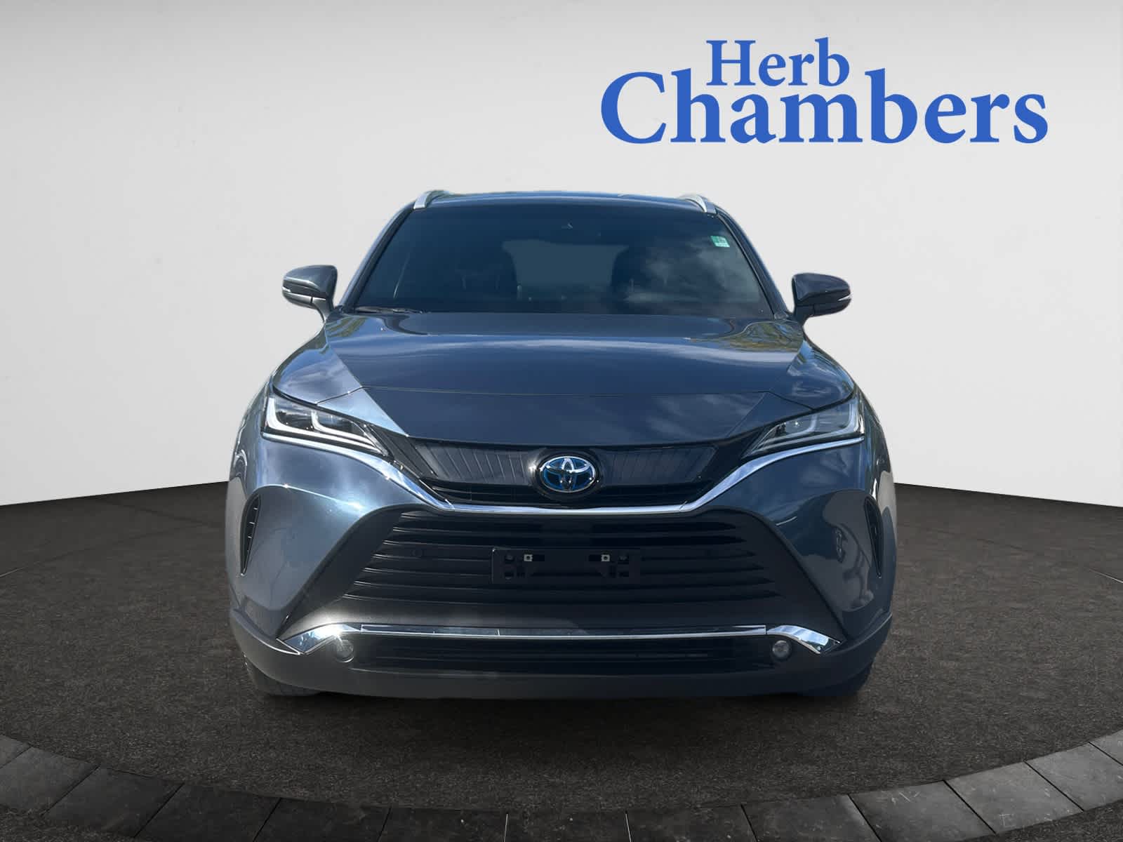 2023 Toyota Venza XLE photo 2