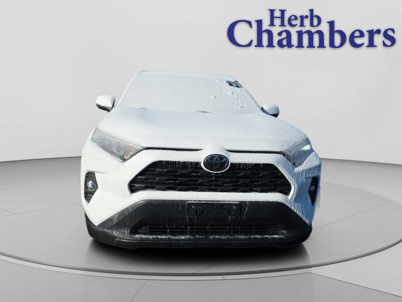 2019 Toyota RAV4 XLE photo 2