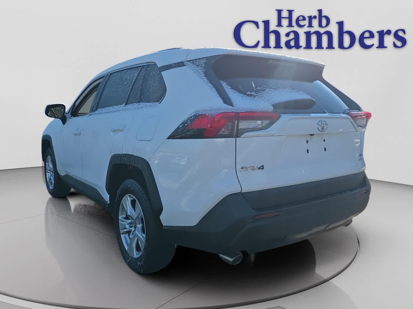 2019 Toyota RAV4 XLE photo 3