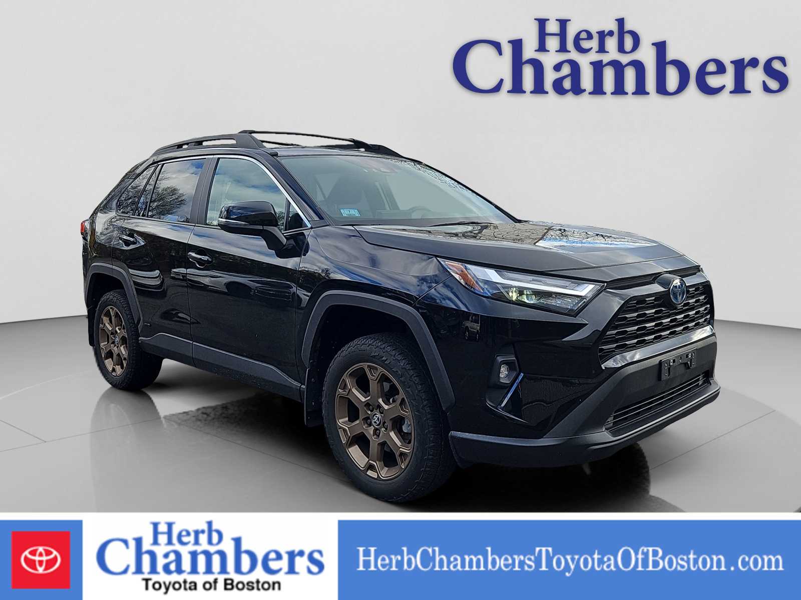 2023 Toyota RAV4 Woodland Edition's photo