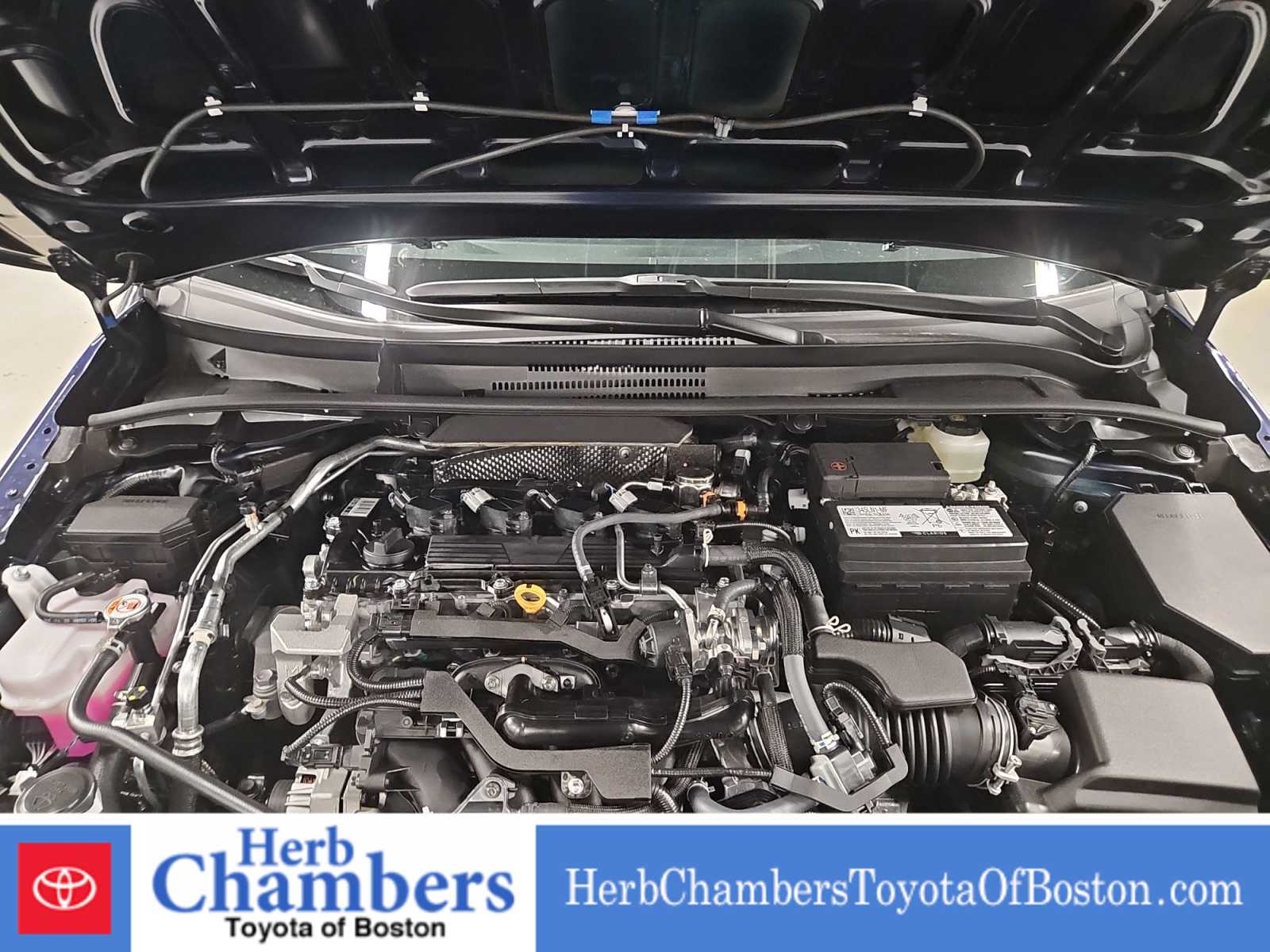 2026 Toyota Corolla XSE - Photo 8