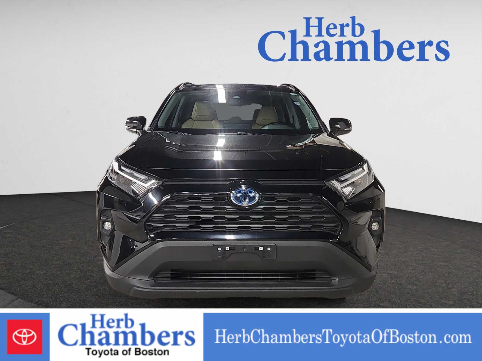 2022 Toyota RAV4 Hybrid XLE Premium photo 2