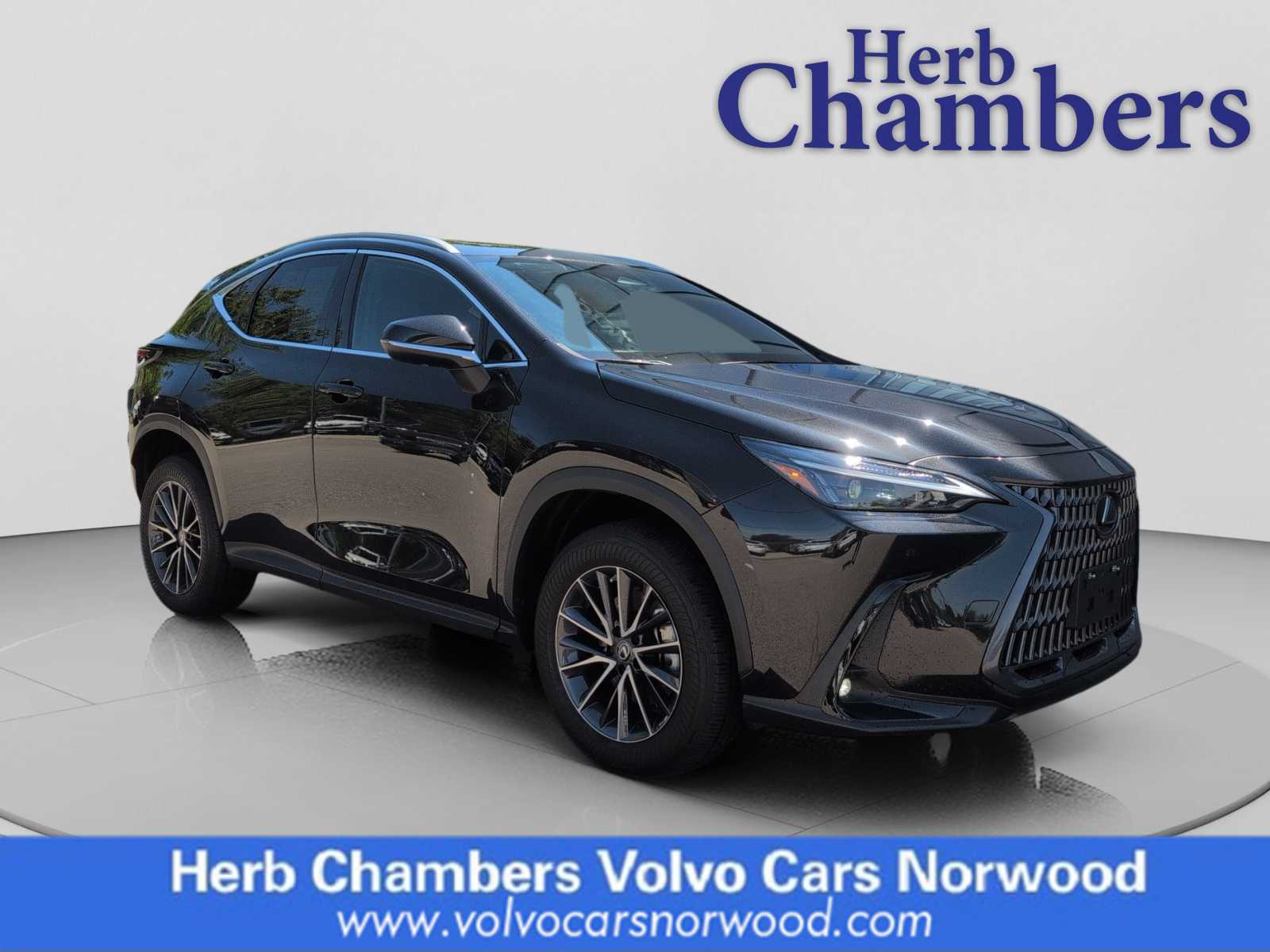 2023 Lexus NX 350 350 Premium AWD's photo