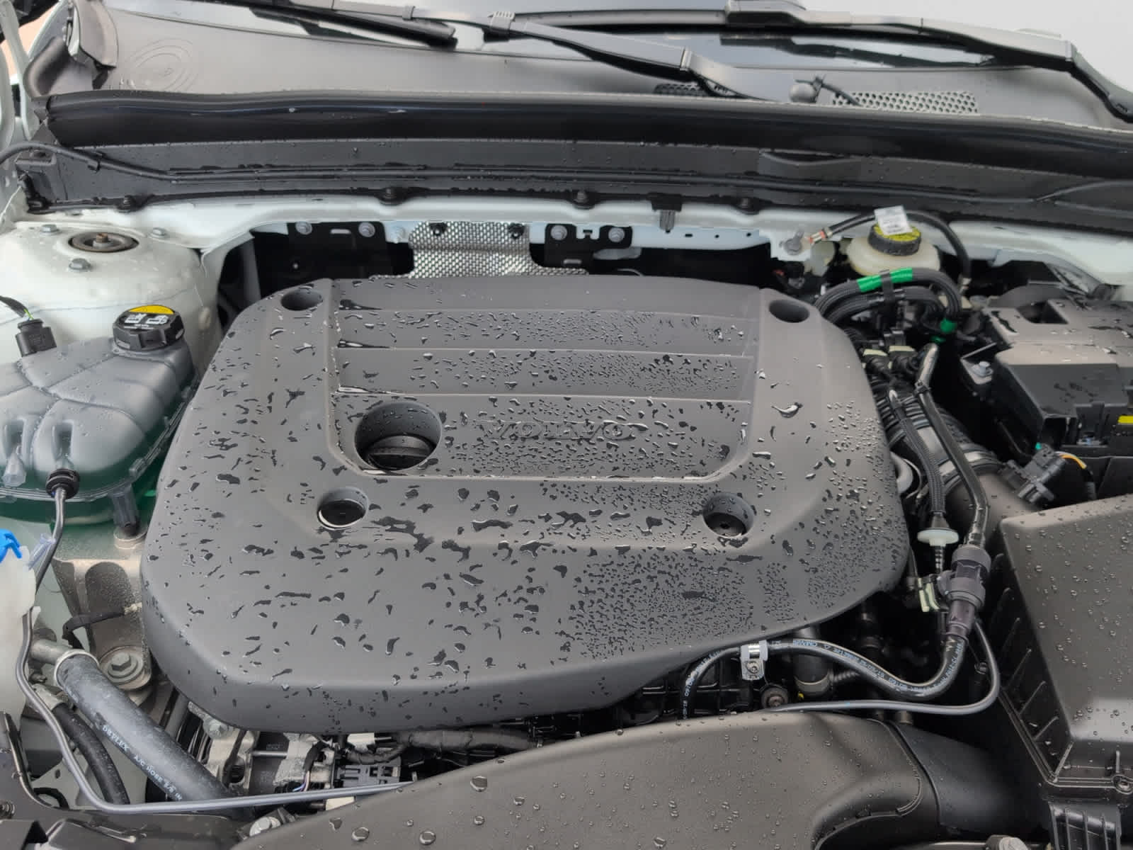 used 2026 Volvo XC40 car, priced at $51,960