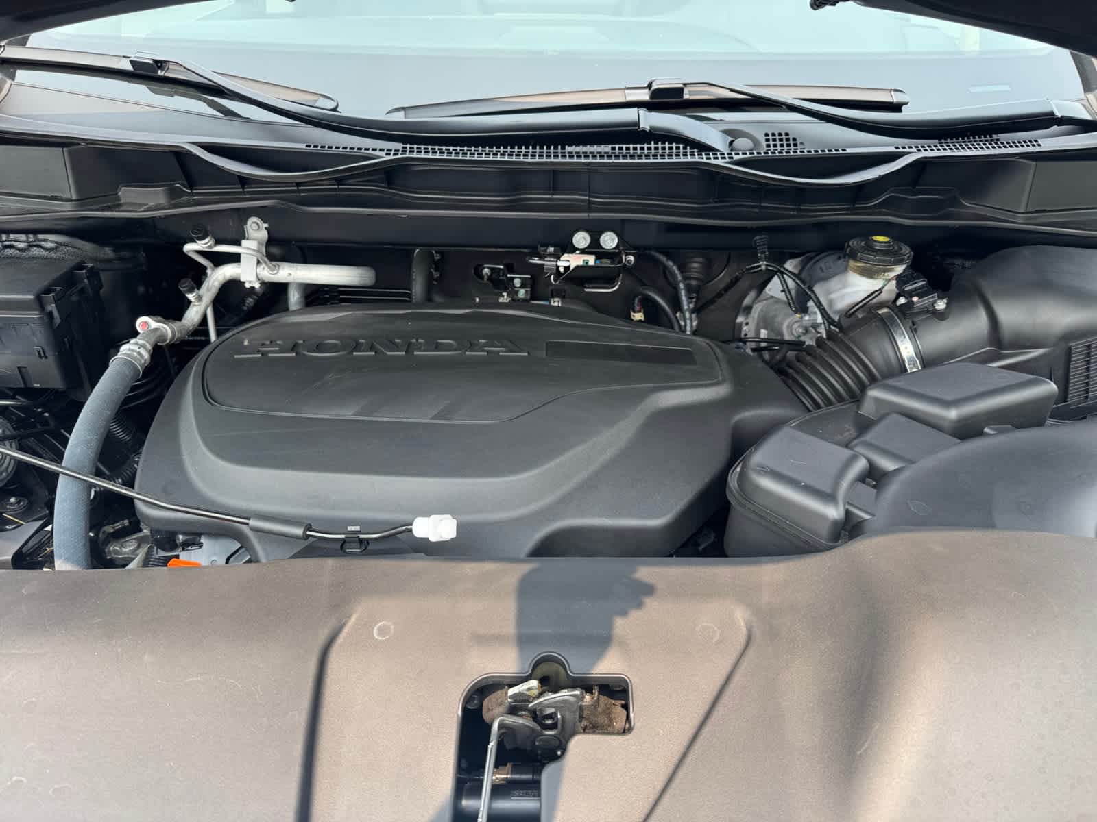 used 2024 Honda Odyssey car, priced at $32,998