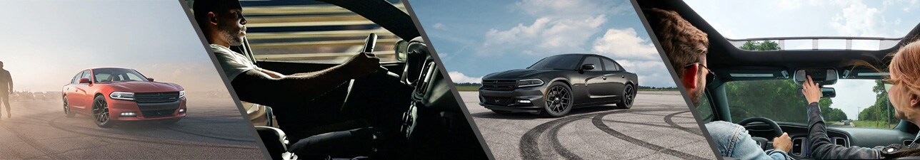 New Dodge Charger for Sale Asheboro NC