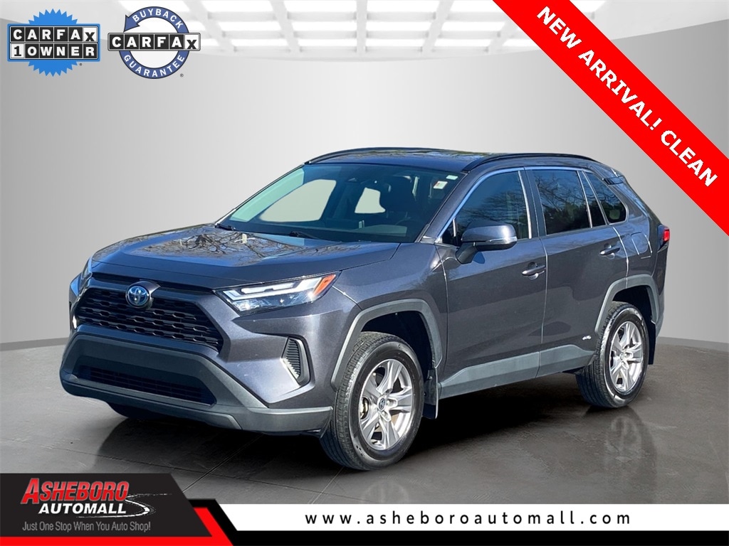 2024 Toyota RAV4 XLE's photo