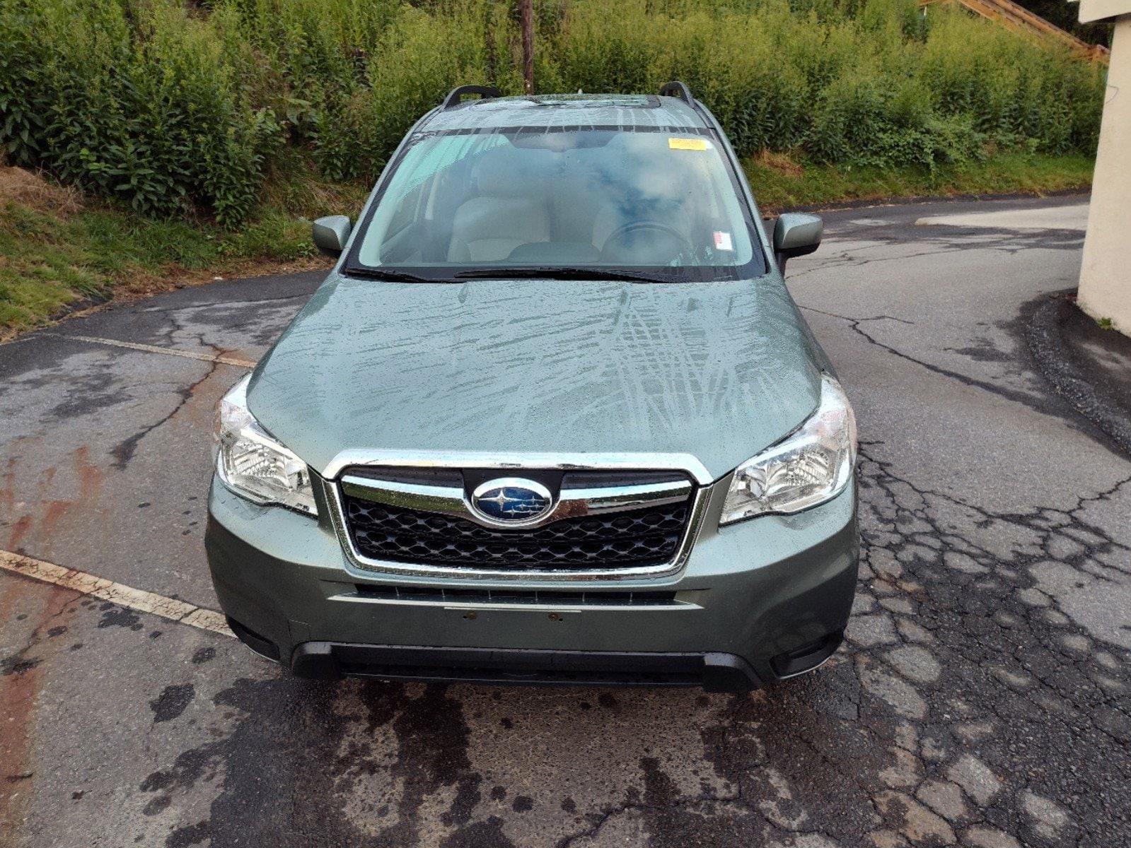 Used 2016 Subaru Forester i Premium with VIN JF2SJADC7GH417953 for sale in Asheville, NC