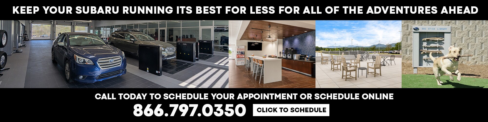Schedule Service in Asheville, NC