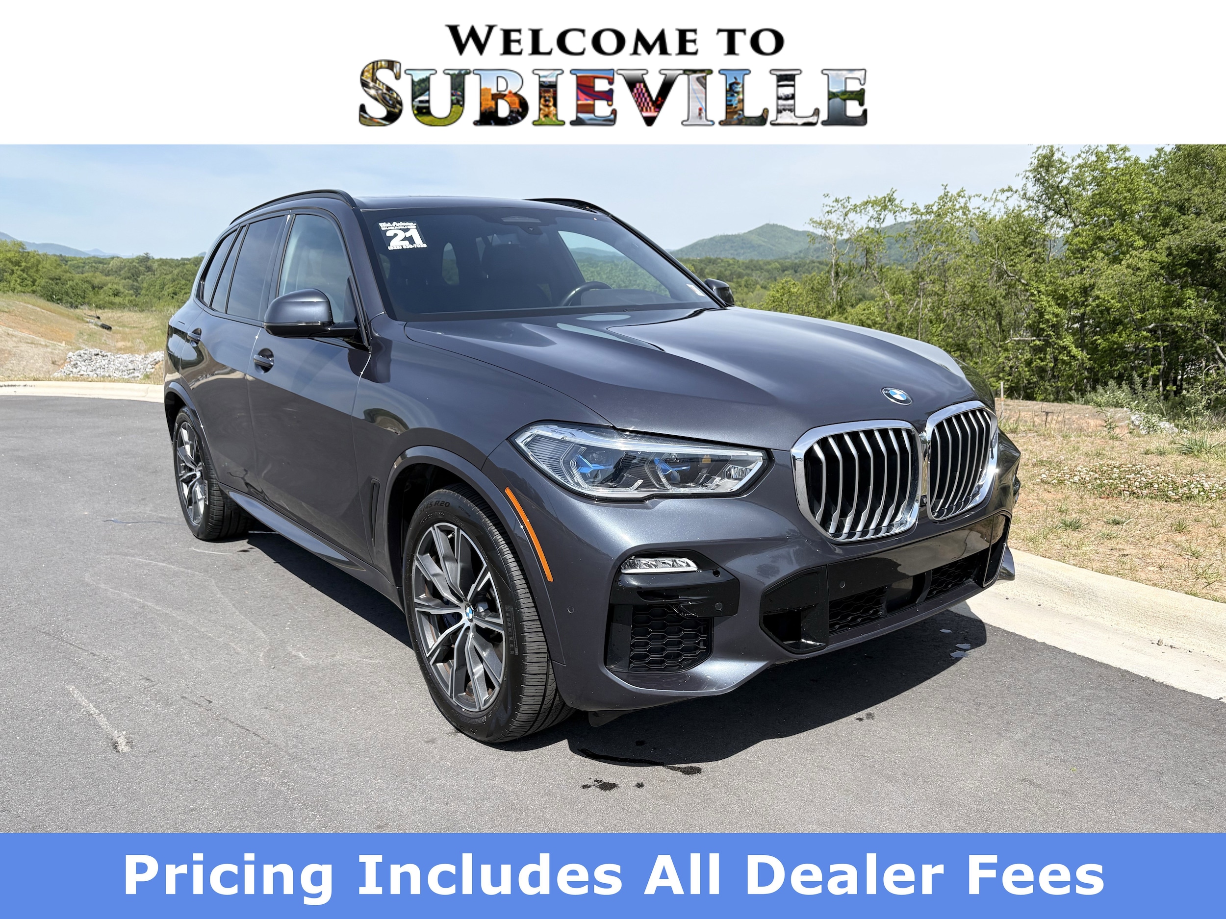2021 BMW X5 xDrive45e's photo