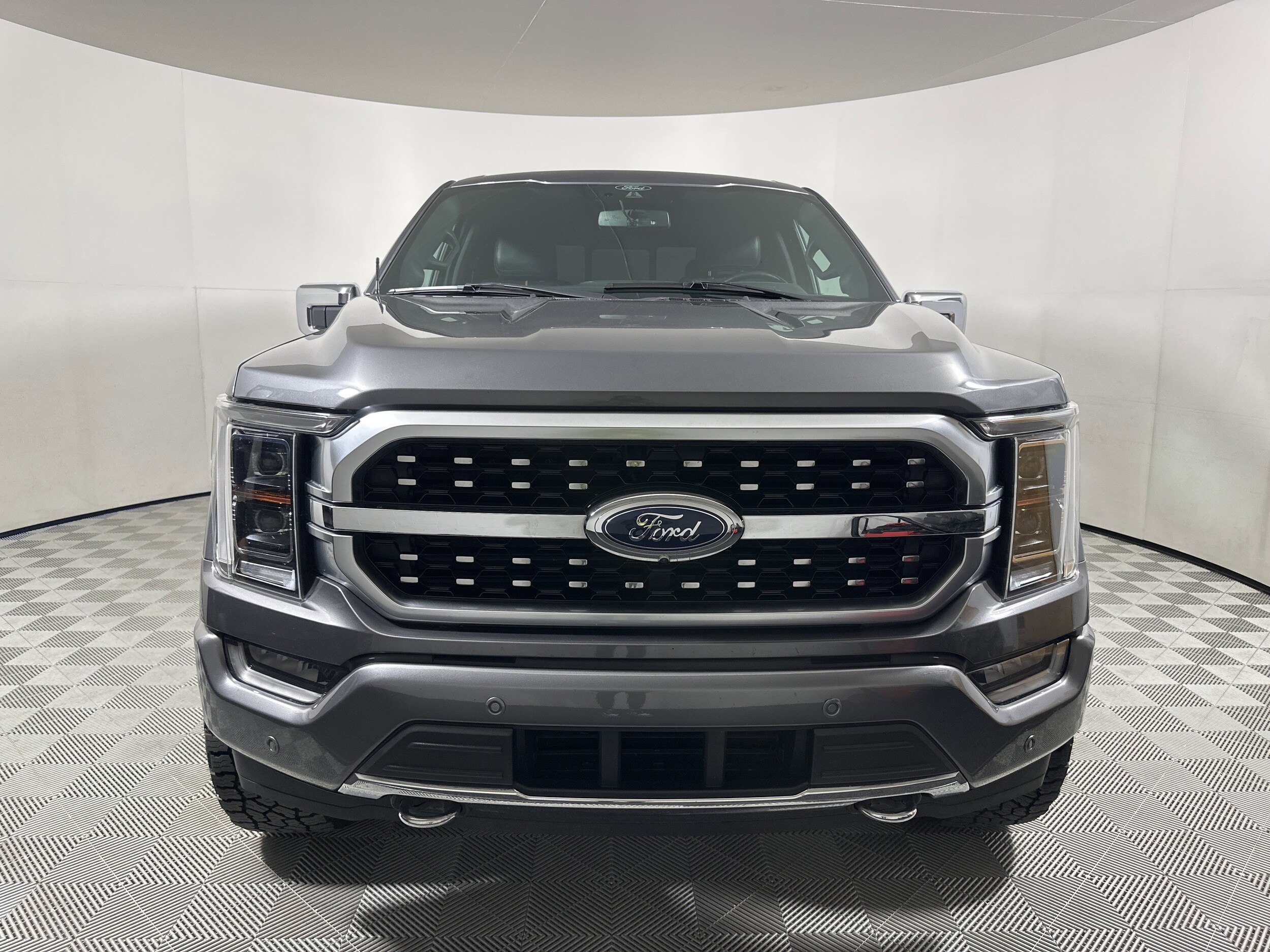 2021 Ford F-150 Platinum photo 2