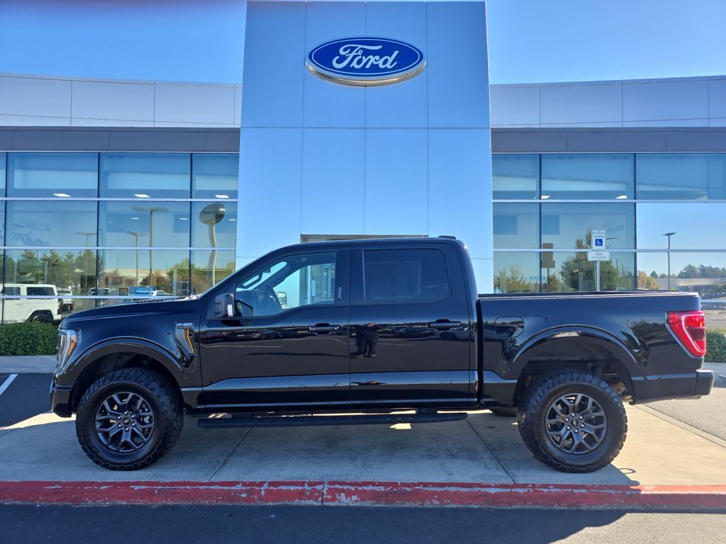2023 Ford F-150 Tremor's photo
