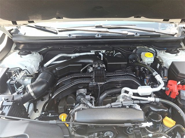 View 28
