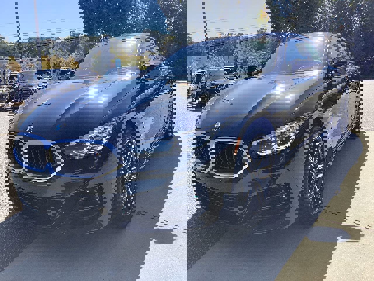 2025 Bmw M850i photo 4