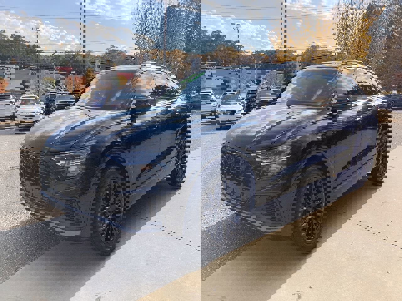 2023 Audi Q8 Premium Plus 55 photo 4