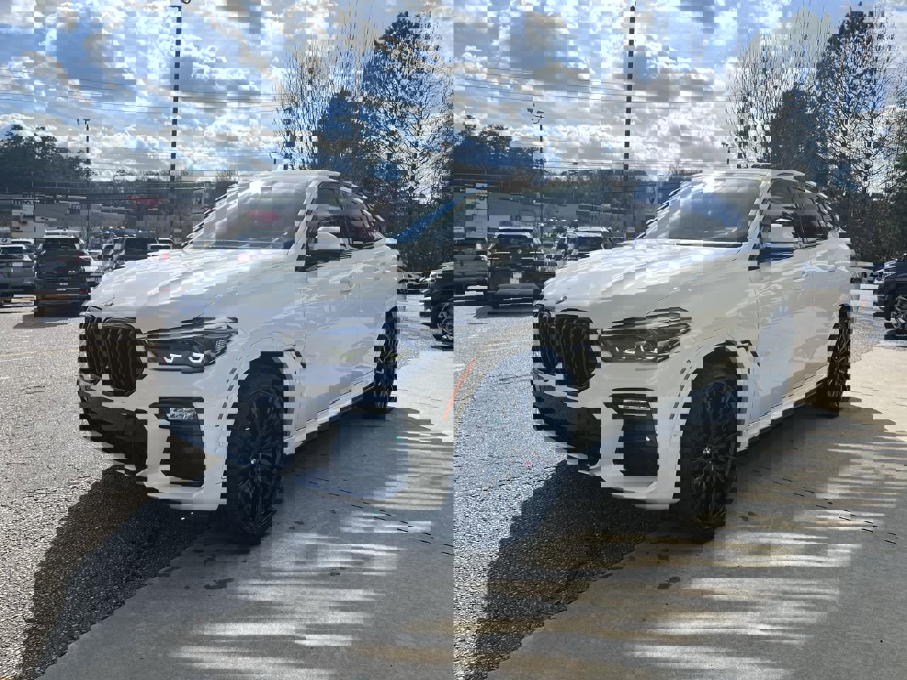 2021 Bmw X6 sDrive40i photo 4
