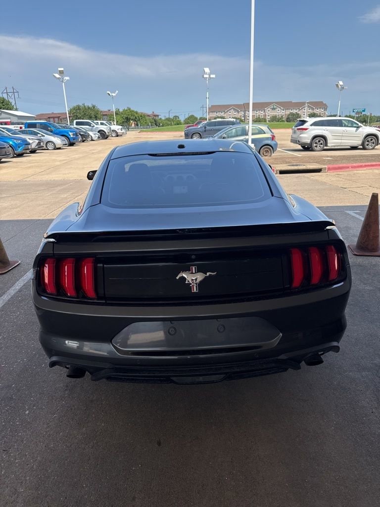 Used 2019 Ford Mustang EcoBoost Premium with VIN 1FA6P8TH9K5130490 for sale in Bryan, TX