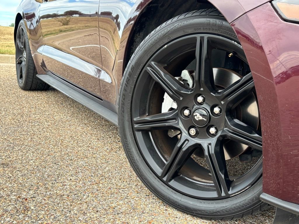 2018 Ford Mustang EcoBoost Premium photo 2