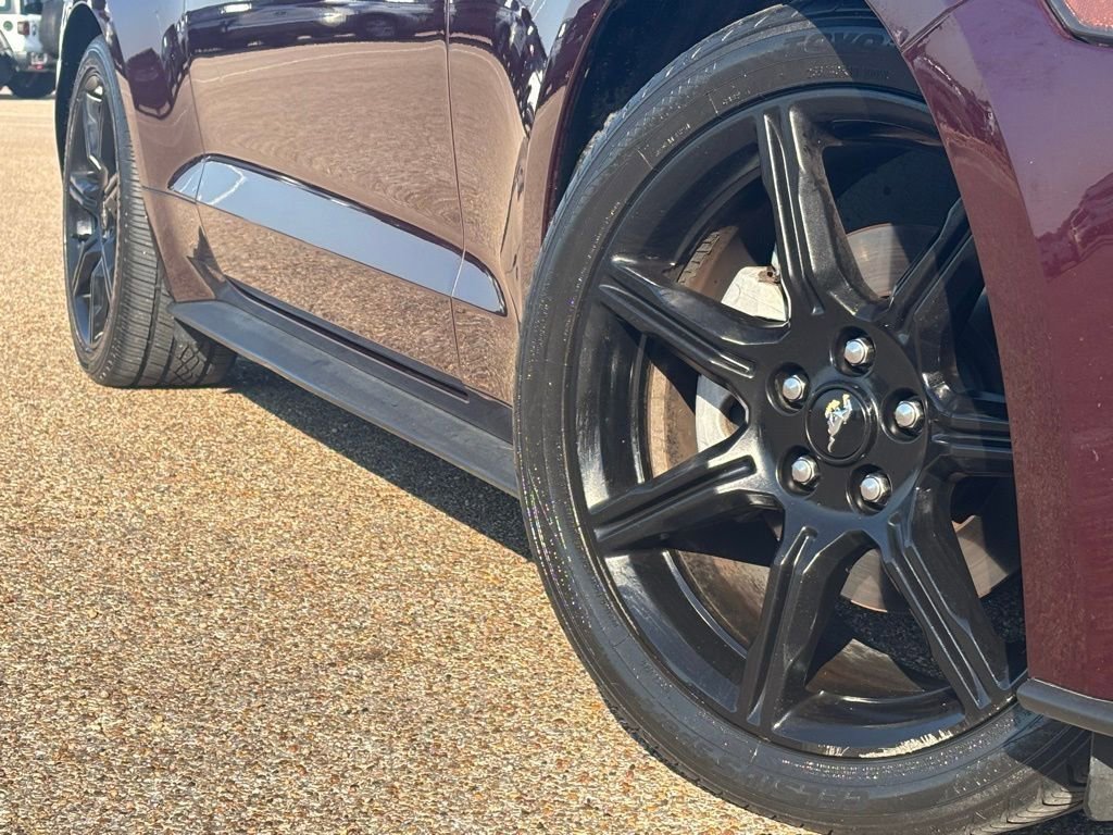 2018 Ford Mustang EcoBoost Premium photo 2