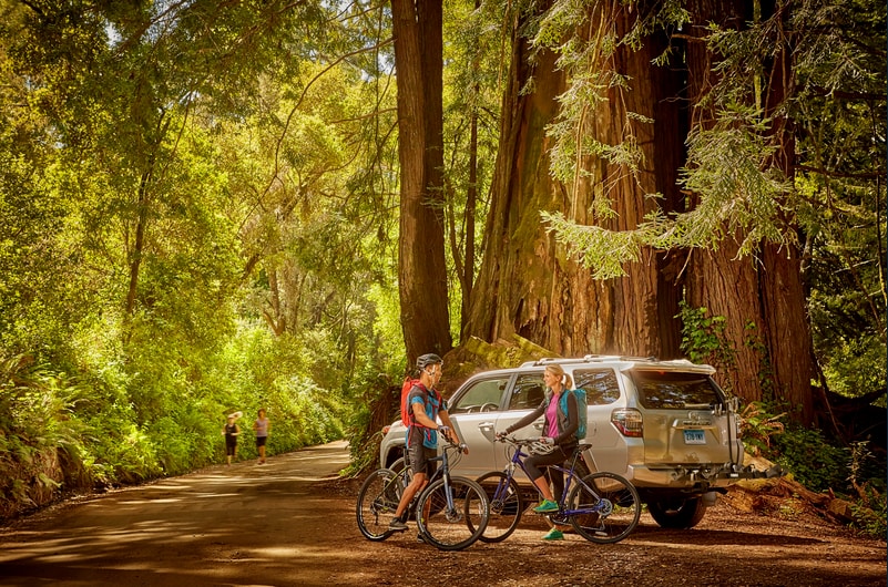 Thule Bike Rack Near Willis.png