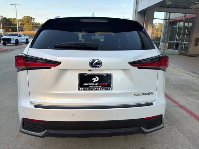 2019 Lexus NX 300h Luxury photo 3