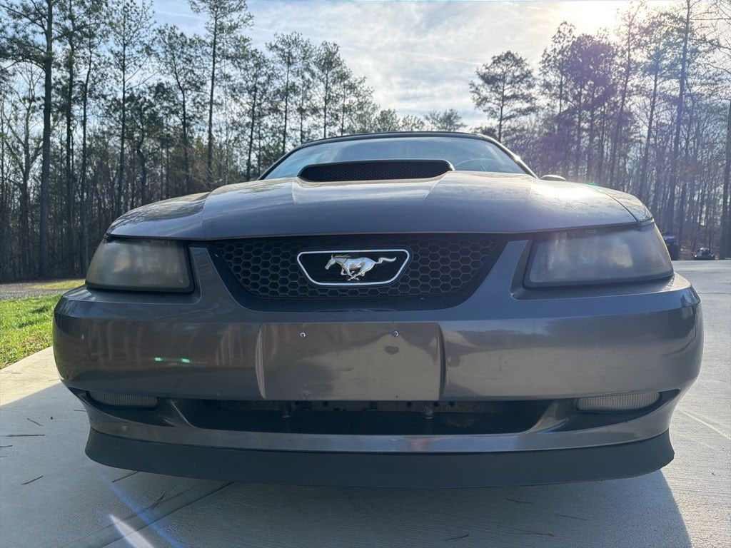 Used 2003 Ford Mustang GT Convertible