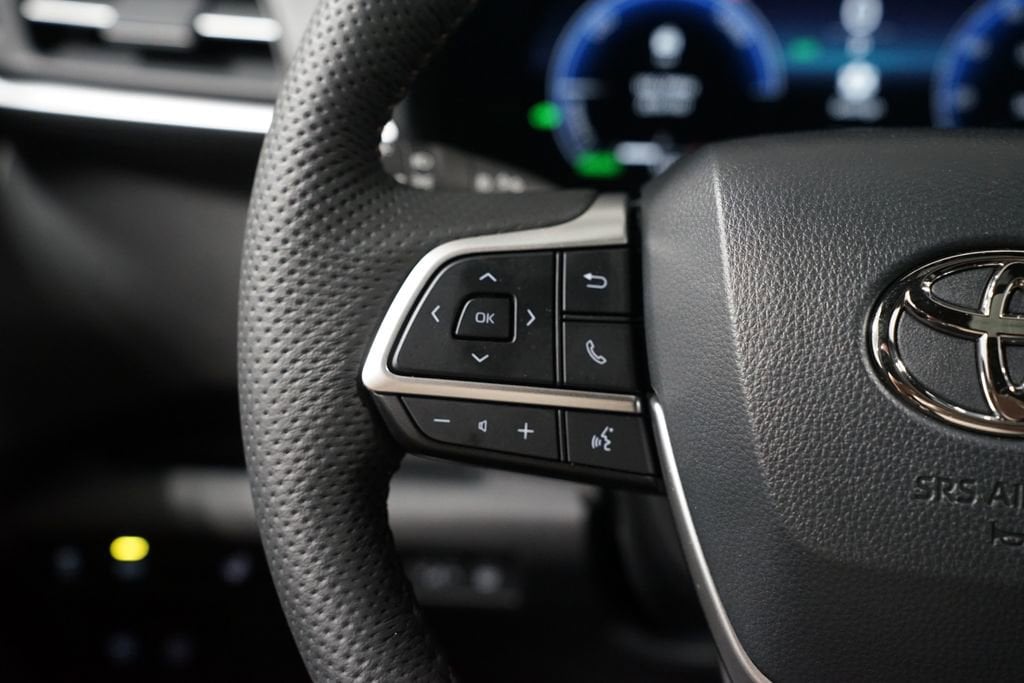 2025 Toyota Sienna Platinum - Photo 15