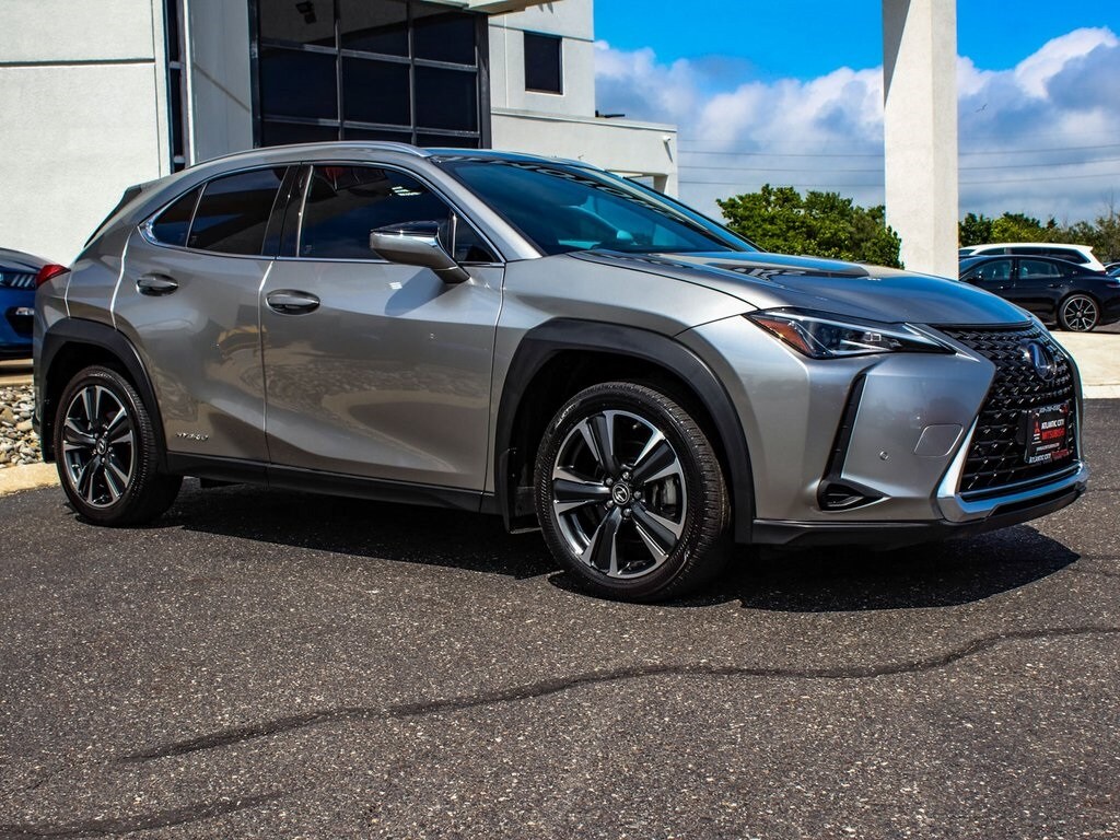2021 Lexus UX 250h photo 3