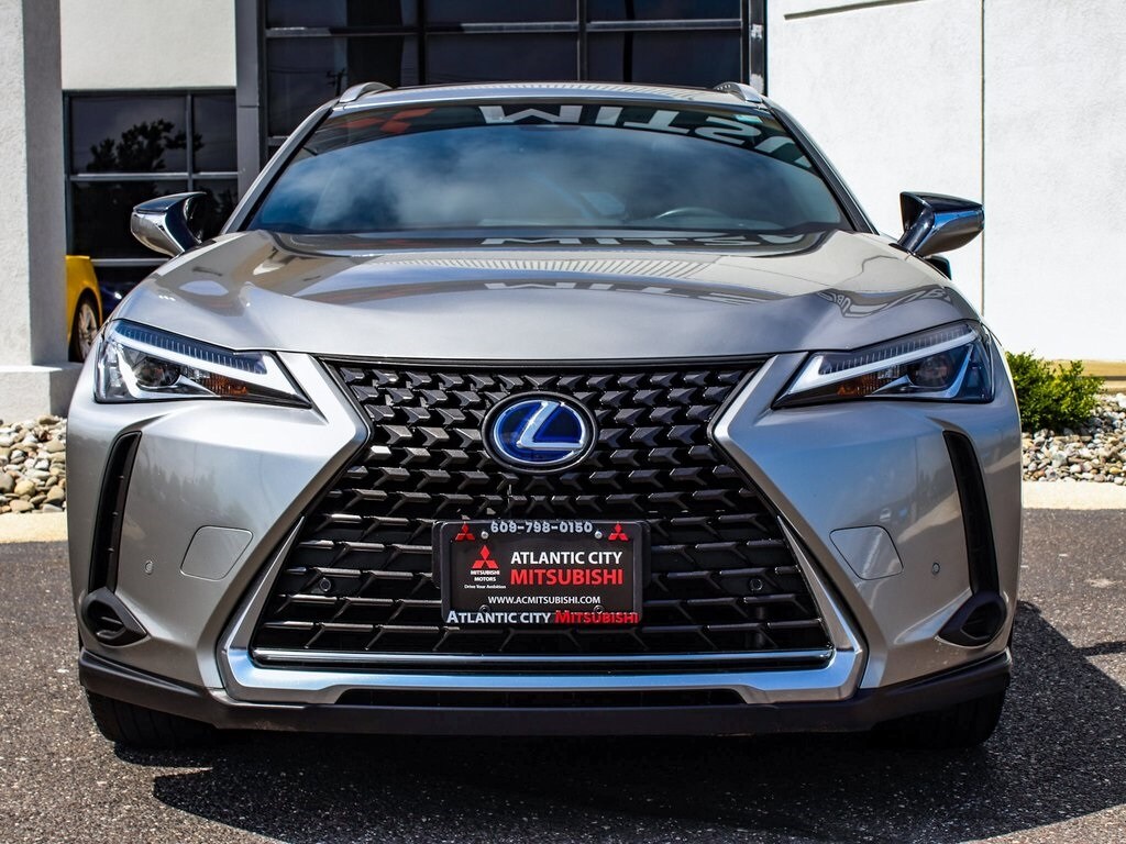 2021 Lexus UX 250h photo 2