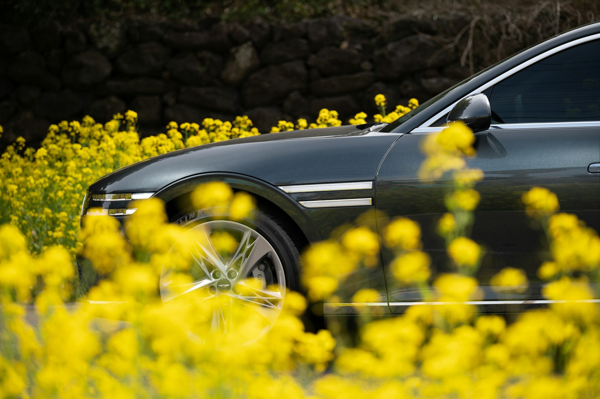 hyundai-motor-group-weZBPAxWbsU-unsplash.jpg